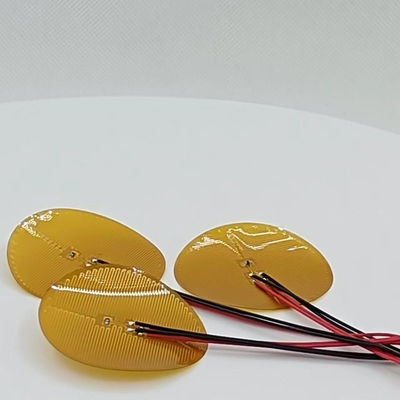 500V 260 Grad Polyimide Heater Element For Industrial Multifunctional